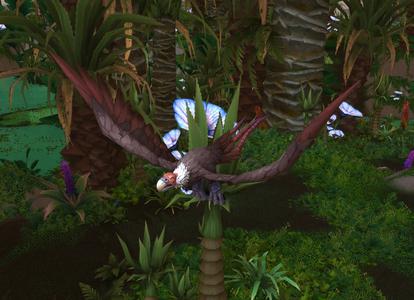 Diseased vulture