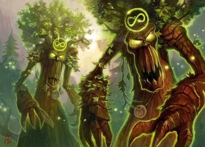 Soul of the forest