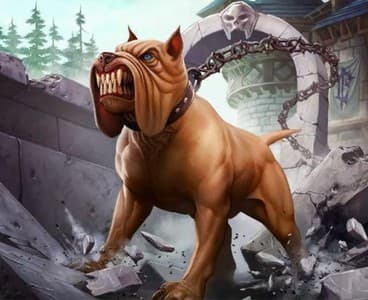 Unleash the hounds