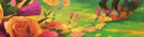 Wild Growth