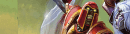 Charge