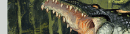 River Crocolisk