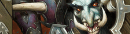 Sen'jin Shieldmasta