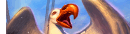 Bad Luck Albatross