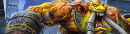 Gurubashi Berserker