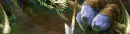 Eaglehorn Bow