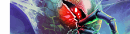 Boneweb Egg